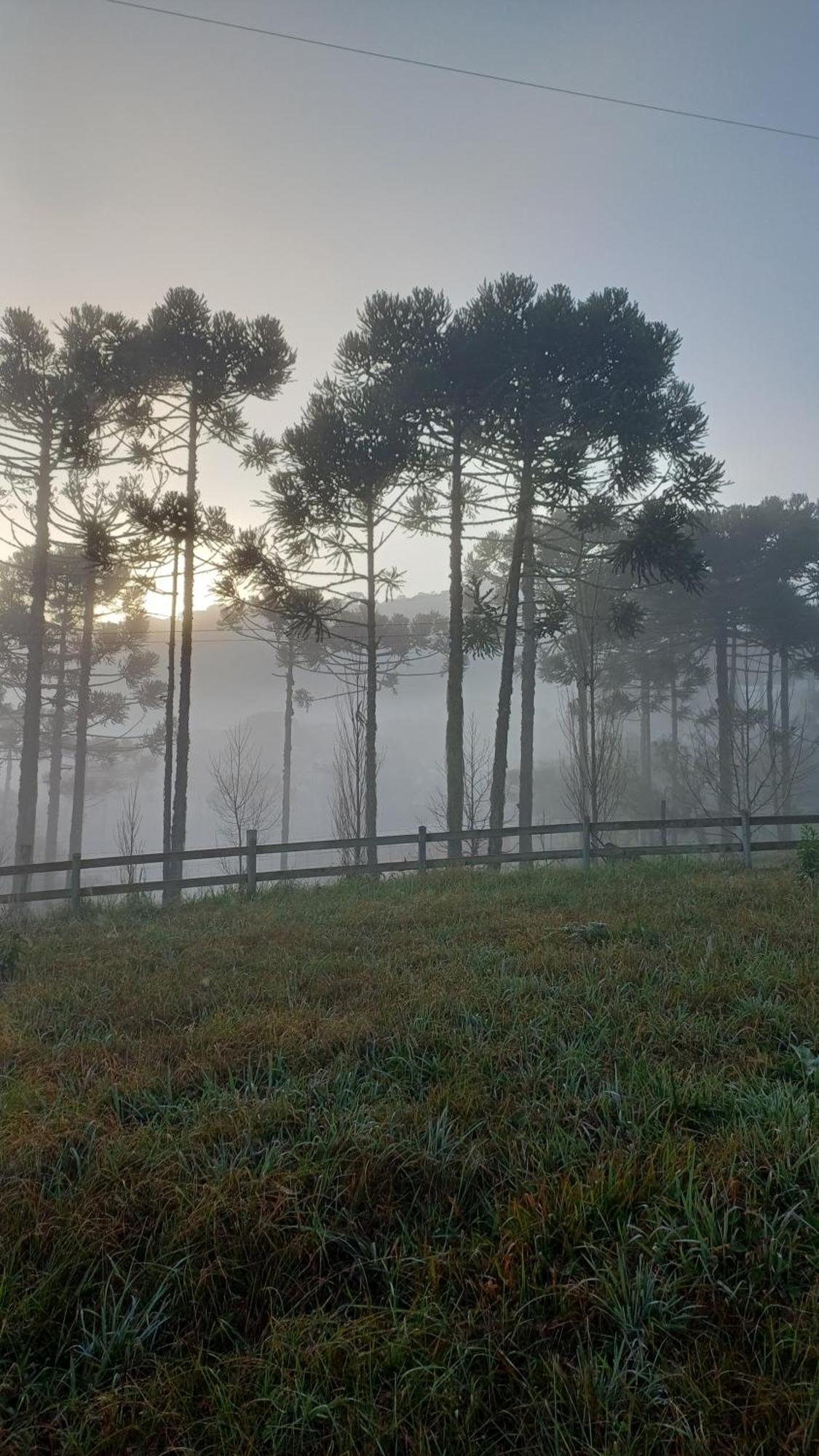 Hospedagem Cabanas Do Lago Urubici Kültér fotó